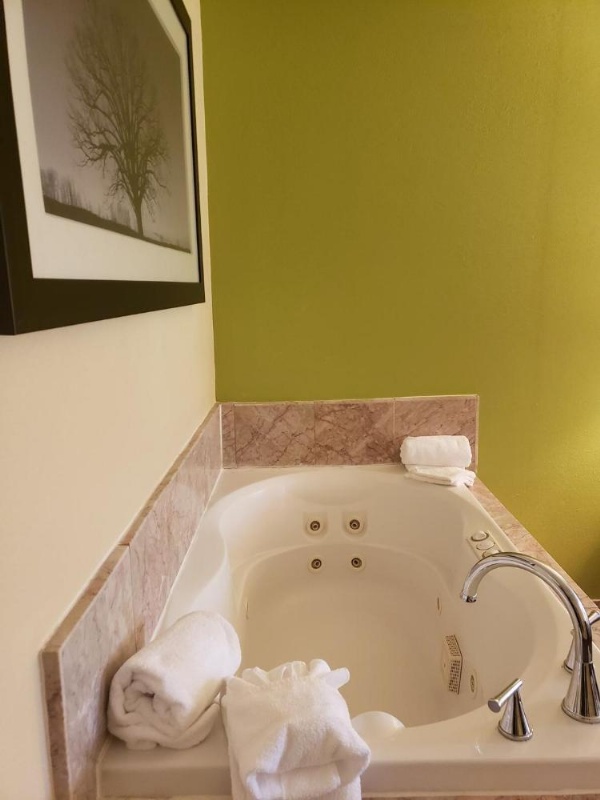 Days Inn by Wyndham Asheville/Mall image 14